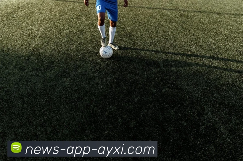 App Interface Preview